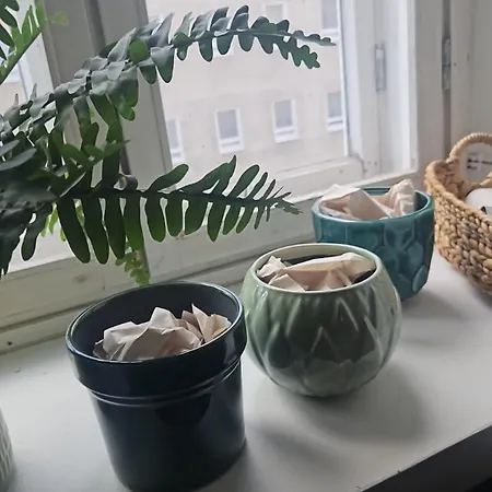 公寓 Private In The Heart Of Kallio 赫尔辛基
